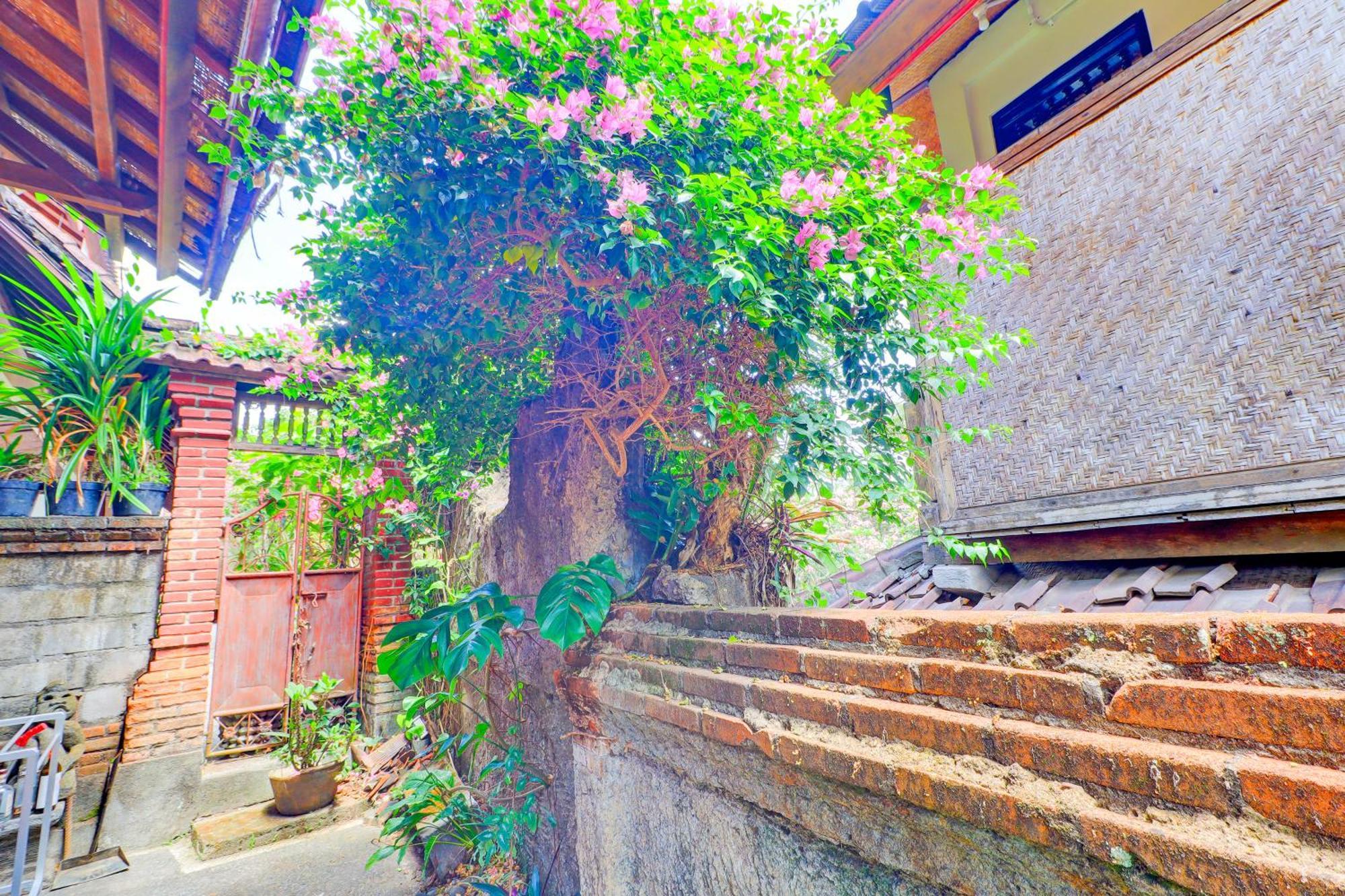 Homestay O Ubud Asri Near Monkey Forest BALI
