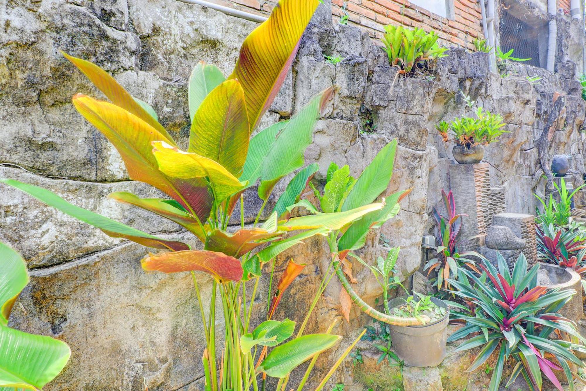Homestay O Ubud Asri Near Monkey Forest